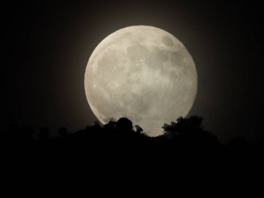 2024 'te Avcı' nın dolunayı..