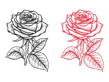El çizimi gül çizimi. Siyah ve Kırmızı Çiçek Çizgisi Sanat