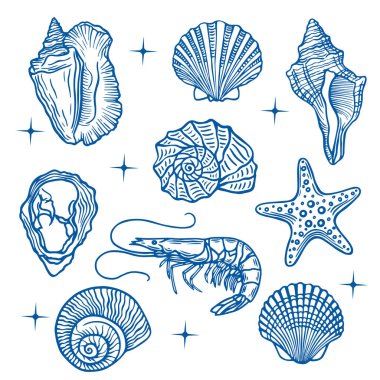 El çizimi okyanus elementleri beyaza izole edilmiş. Deniz kabuğu ve deniz yaşam vektörü ayarlandı.