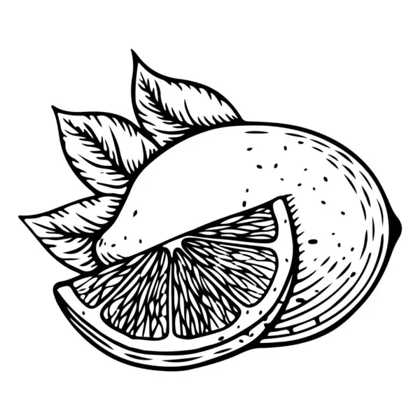 İşleme tarzında limon ve nane. El çizimi resim çizimi