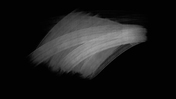 Abstract Black Screen Hand Drawing Soft Brush Strokes Background Alpha — Wideo stockowe