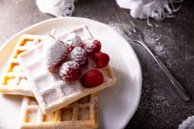 Beyaz tabakta servis edilen taze ev yapımı yumuşak waffle ve pudra şekerli..