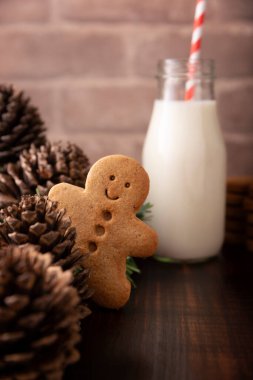 Ev yapımı gülümseyen zencefilli kurabiye adam çam kozalağının arkasından dışarı bakıyor. Bu kurabiyeler geleneksel olarak Noel 'de yapılır..
