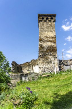 Boşlukları olan ortaçağ savunma taş kulesi. Eski duvarlar. Ağaçlar, yeşil çimenler ve çalılar.