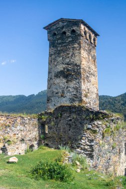 Boşlukları olan ortaçağ savunma taş kulesi. Eski duvarlar. Ağaçlar, yeşil çimenler ve çalılar.