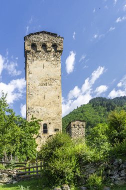 Boşlukları olan iki ortaçağ savunma kulesi. Eski duvarlar. Ağaçlar, yeşil çimenler ve çalılar.