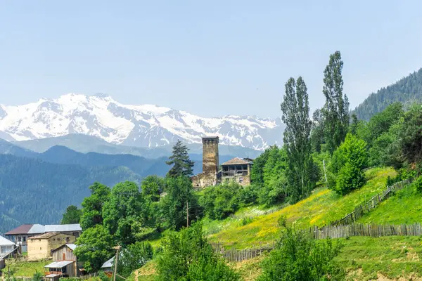 Konut binasının yakınındaki eski savunma kulesi. Uzun ağaçlar, çimenler ve çalılar. Arka planda karla kaplı dağlar