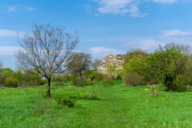 Medieval basilica, tiled roof, stone walls. Green grass meadow, bushes and trees. Samshvilde clipart