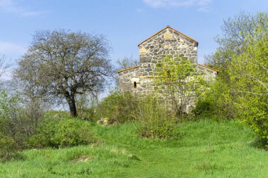 Ortaçağ bazilikası, fayanslı çatı, taş duvarlar. Yeşil çayır, çalılar ve ağaçlar. Samshvilde