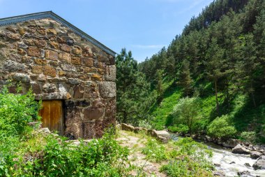 Dağ nehrinin kıyısındaki Aziz Maria Kilisesi. Ktsia, Avranlo, Gürcistan