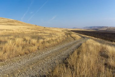 Savananın içinden geçen dünyevi bir yol. Turuncu kuru otlar, tarlalar ve dağlar. Açık mavi gökyüzü