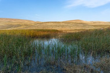 Dağların ve savananın ortasında berrak sularla dolu bir göl. Dağlarda turuncu çimenler, gölün yanında yeşil. Bulutlu açık mavi gökyüzü