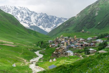Dağlar arasında bir vadide Ushguli köyü. Sarı çiçekli yeşil tarlalar, akan bir nehir. Ortaçağ taş kuleleri ve konut evleri. Shkhara Dağı 'nın karlı zirveleri