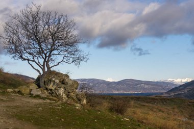 Morning view of Mount Mkinvartsveri (Kazbek) from the territory of the Jvari monastery. Tree without leaves on rocks in the foreground. Blue sky with heavy clouds. Mtskheta, Georgia. clipart