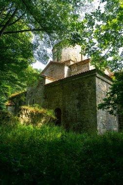 Çatı döşemesi ve ormanda kubbesi olan eski bir taş kilise. Ağaçlar ve çalılar var.