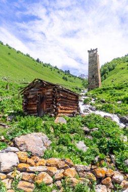 Büyük odunlardan yapılmış eski bir su değirmeni. Hızlı bir dağ nehrinin kıyısında bir ortaçağ taş kulesi. Yeşil çimenler, ağaçlı tepeler.