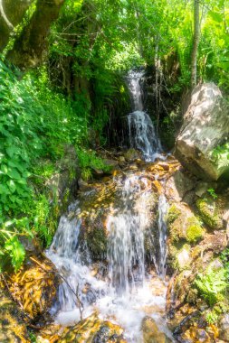 Küçük bir dağ şelalesi ağaçların arasındaki kayaların üzerine dökülüyor. Temiz kaynak suyu