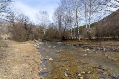 Ağaçlar ve açıklıklar arasında bir dağ nehri akıyor. Sonbahar renkleri
