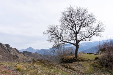 Yapraksız bir ağaç ve dağların ve gökyüzünün arka planına karşı bir tepenin tepesinde metal bir haç..