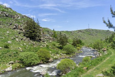 Tepelerdeki ağaçlar ve çalılar, kanyonun dibindeki nehir. Ktsia, Avranlo, Gürcistan