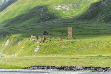 Ruins of a fortress and tower on a hill near the bank of the Terek River clipart