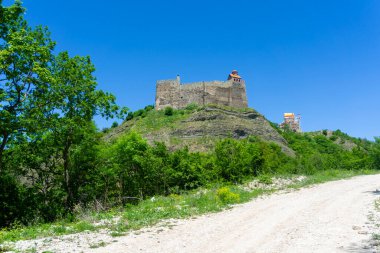 Çalıların arasından geçen toprak yol tepedeki Dzama kalesine çıkıyor.