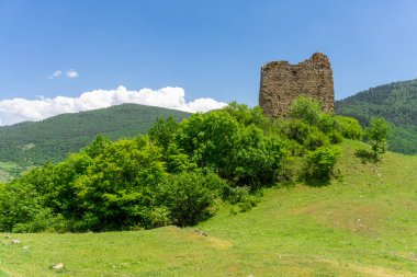 Çalılarla dolu bir tepedeki eski bir kalenin kalıntıları. Arkaplanda parlak bir gökyüzü