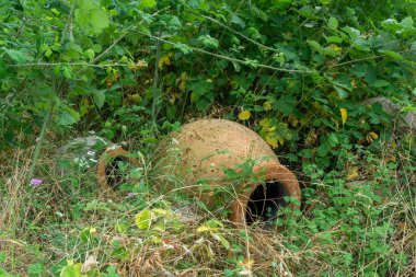 Two small Kvevri or Qvevri in the grass and bushes.  Kvevri are earthenware vessels used for clipart