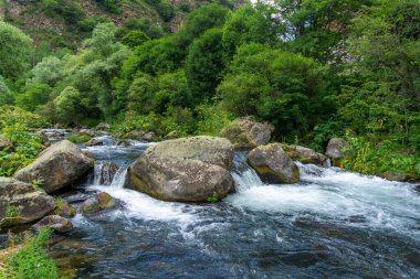 Dağ nehri yolunda ağaçların ve çalıların arasında devasa taşlar. Tsalka Kanyonu, Georgia