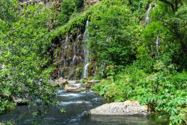 Waterfall from a cliff and a river among trees and bushes. Tsalka canyon, Georgia clipart