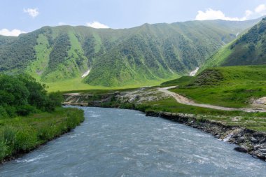 Dağların arasında yeşil çimenler ve çalılarla kaplı bir vadideki Terek Nehri 'nin sakin akışı