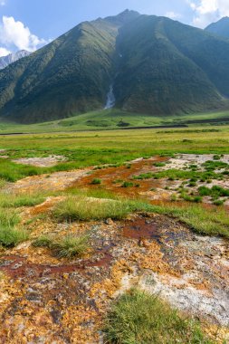 Yeşil çimlerin üzerinde kahverengi, turuncu ve sarı mineral tuzu birikintileri. Arkaplanda dağ