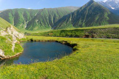 Truso Vadisi 'ndeki Abano Gölü yakınlarında yeşil çimenler ve sarı çiçekler. Çevredeki dağlar