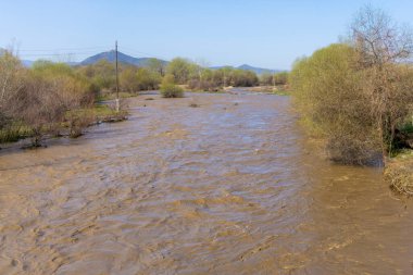 Hızla akan çamurlu, taşan bir nehir bankaların bir kısmını elektrik direkleriyle, ağaçlarla ve çalılarla doldurdu.