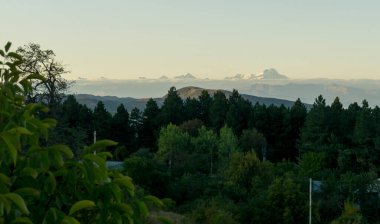 Sabahın erken saatlerinde Mkinvartsveri Dağı 'nın manzarası. Ön planda kozalaklı orman