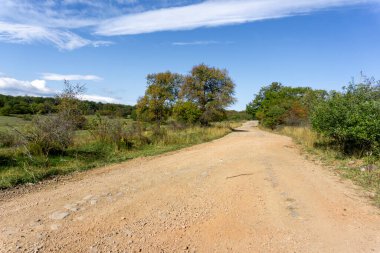 Topraktan ormana giden bir yol var. Çevrede yeşil çimenler.