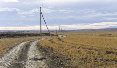 Elektrik direklerinin yanında sarı çimenler olan bir tarladan geçen toprak yol.