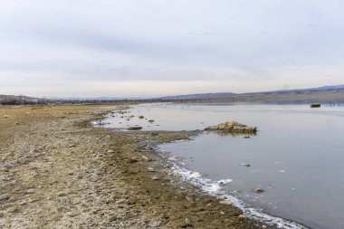 Kirli göl kıyısı, buzda ölü balık. Bozuk ekoloji. Arkaplanda dağlar
