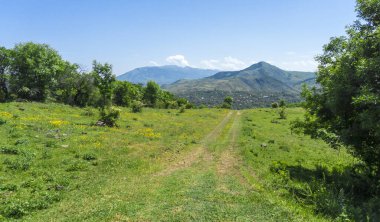 Her iki tarafında lastik izleri ve çalılar olan çimenli bir yol köye çıkar. Arka planda dağlar ve parlak gökyüzü.