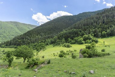 Dağın altındaki güneş tarafından aydınlatılmış çalıların arasında yeşil bir çimenlik. Arka planda dağlar ve gökyüzü