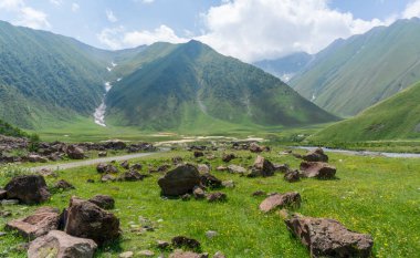 Nehir vadisindeki dev kahverengi taşlar dağların arasında yeşilliklerle kaplı.