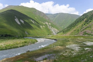 Dağ nehri Terek dağların arasında yeşil çimenler ve çalılarla kaplı.