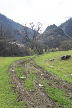 Toprak bir yol yeşil çimenlik bir arazideki bir tepeye çıkar. Tepede küçük bir kilise var. Dağın etrafından