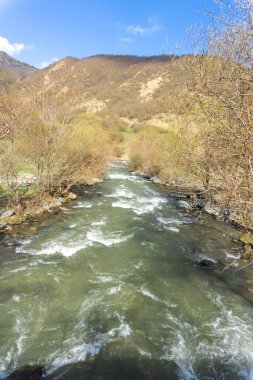 Hızlı dağ nehri Tedzami çalıların ve ağaçların arasından akar. Suyun yeşil bir rengi var. Arka planda dağlar var..