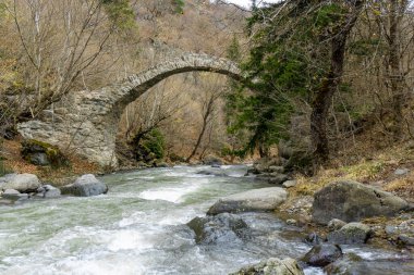 Tedzami dağı üzerinde ortaçağ kemerli taş köprüsü. Büyük taşların arasında hızlı akan su. Orman ve etraftaki çalılar
