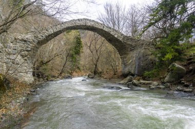 Tedzami dağı üzerinde ortaçağ kemerli taş köprüsü. Büyük taşların arasında hızlı akan su. Orman ve etraftaki çalılar