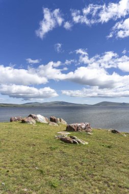 Green grass on the shore of Lake Paravani. Large stones covered with orange lichen. Bright blue sky with clouds clipart