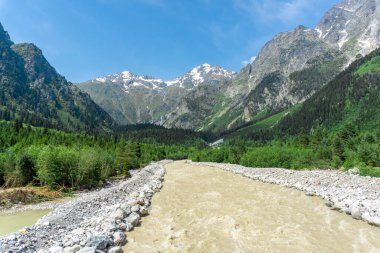 Çamurlu bir dağ nehri ağaçların, kayaların ve çalıların arasında taştan bir yatakta vadiye akar. Arkaplanda dağ manzarası