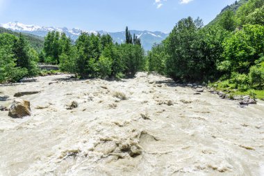 Çamurlu bir dağ nehri ağaçlar, kayalar ve çalılar arasında akar. Nehir yatağında büyük taşlar var. Arkaplanda dağ manzarası