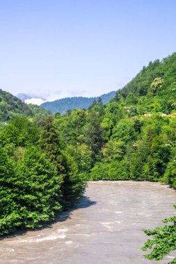 Çamurlu bir dağ nehri ağaçlar ve çalılar arasında bir kanalda akar. Arkaplanda dağ manzarası